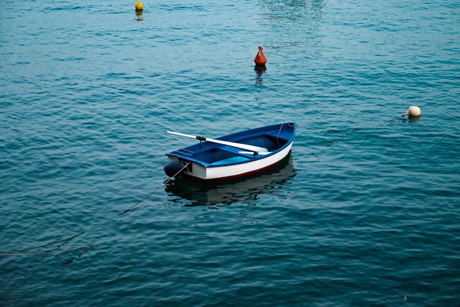 Don't buy the boat. Build the website first: a game plan for starting a business.